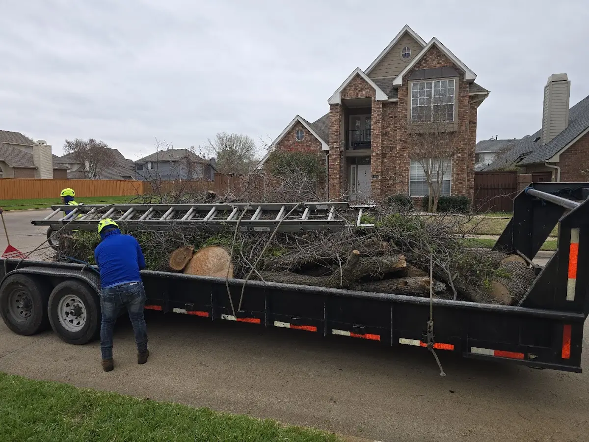 Expert Lot Clearing with proper safety equipment in Dameron